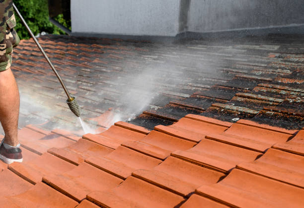 Best Roof Pressure Washing  in Bloomfield, IN