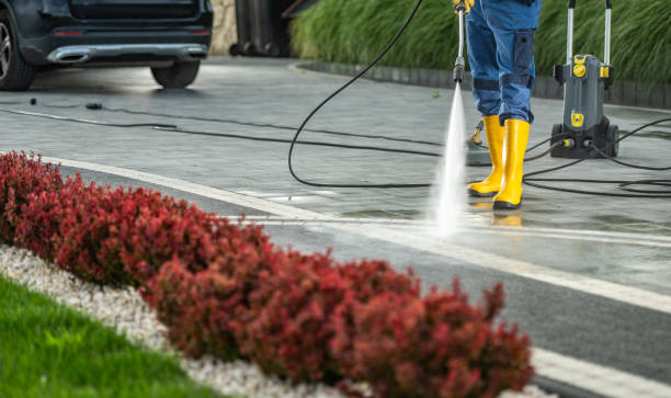 Best Pressure Washing Patio  in Bloomfield, IN